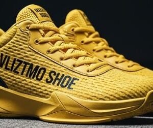 Basketball Elite Shoe